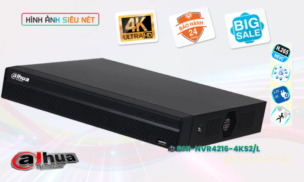 Đầu Ghi Dahua DHI-NVR4216-4KS2-L